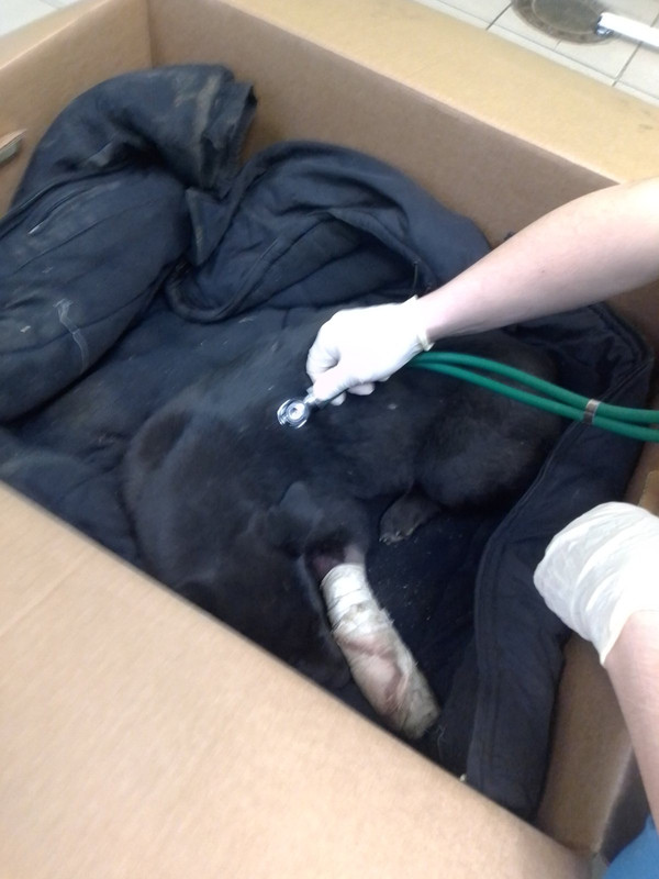 FC94E17F-B2CA-4559-B74F-81724A902D10