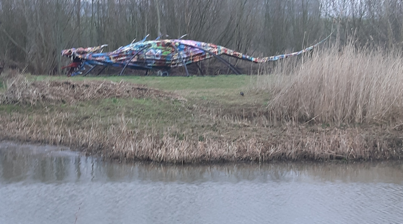 Afbeelding