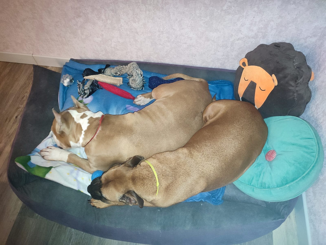 A8F06401-8F98-43DF-8D18-E36F54D343A3