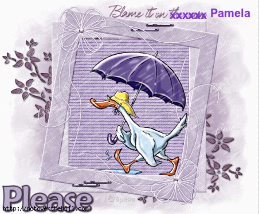 Rain-Blame-Pamela