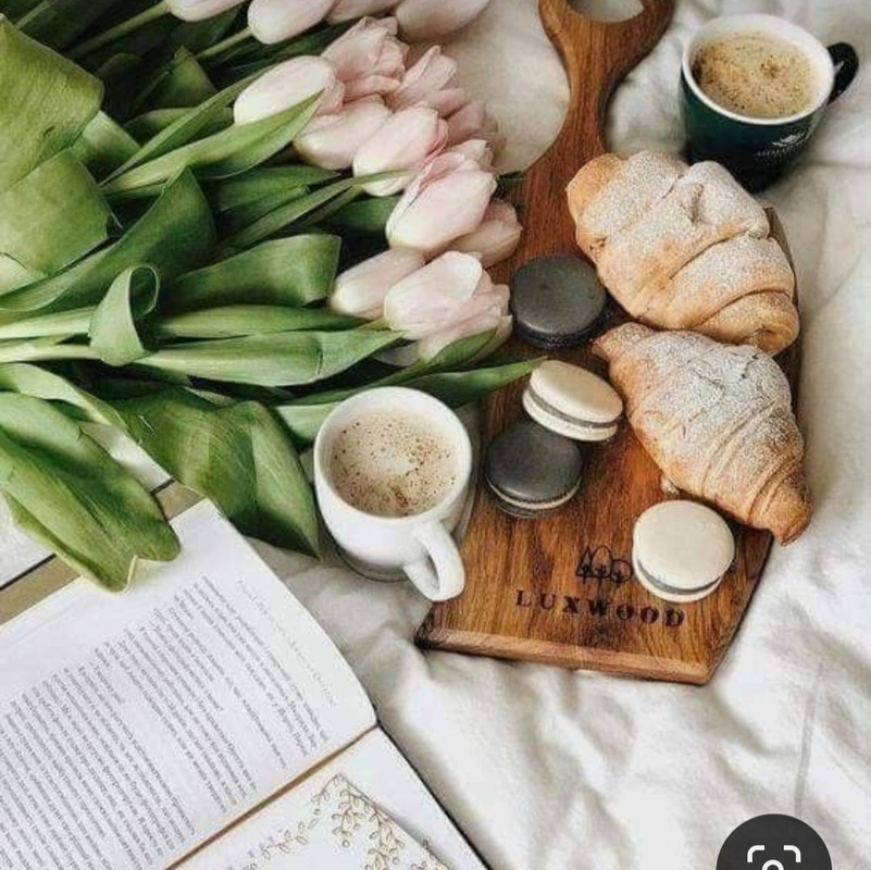 Screenshot_20230220_001347_Pinterest