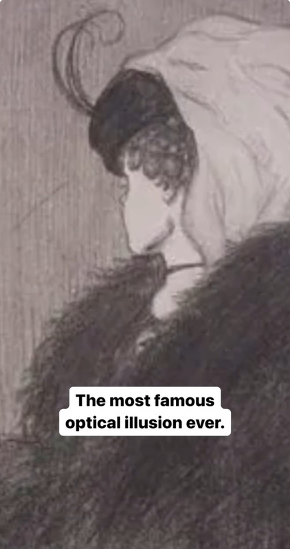 IMG:https://i.postimg.cc/d0P7rc02/IMG-3294.jpg