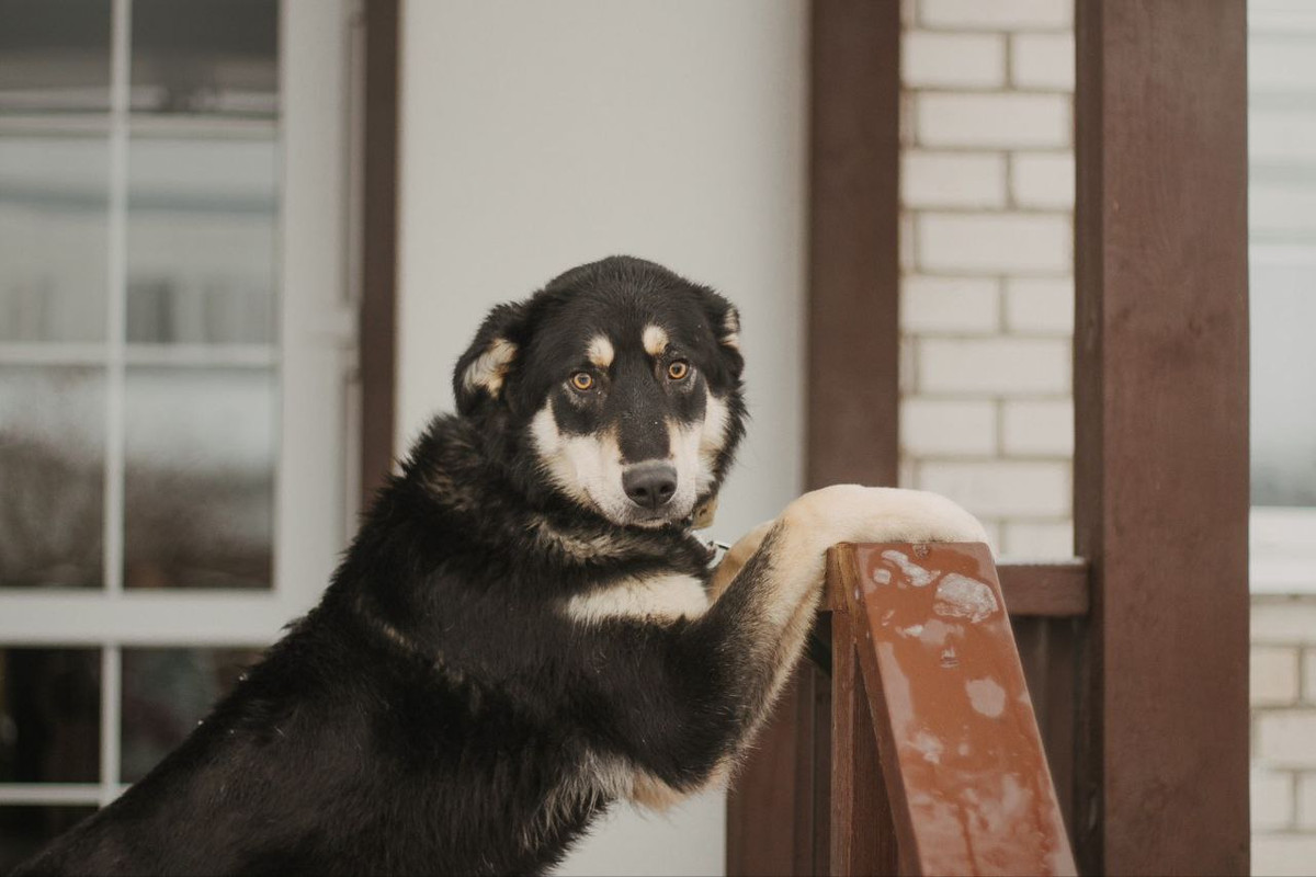 photo_2023-03-16_21-38-15