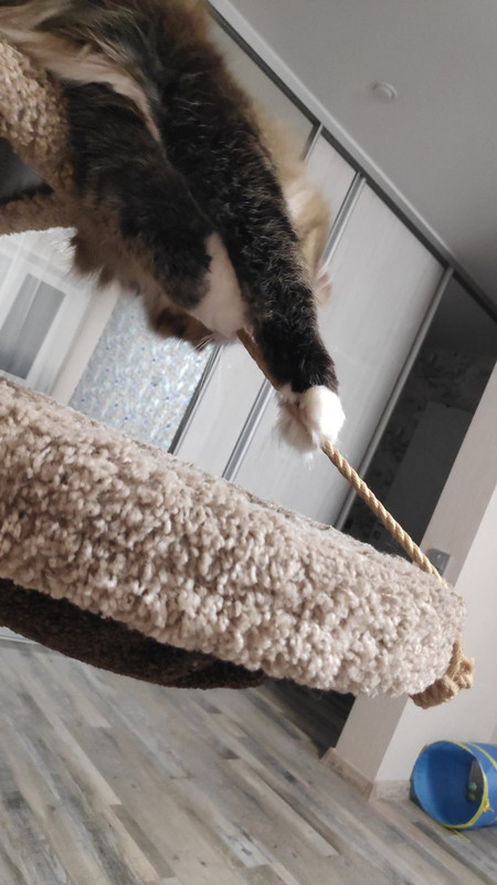 IMG_20221128_204730_1