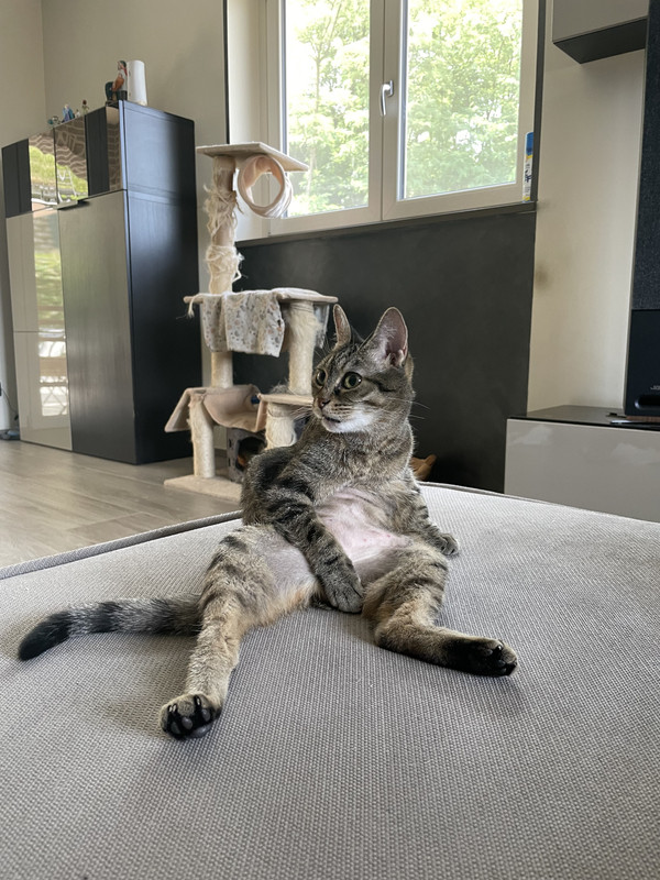 3A8A1BA9-3B93-4CDB-B4EC-1F58B74A7FEF