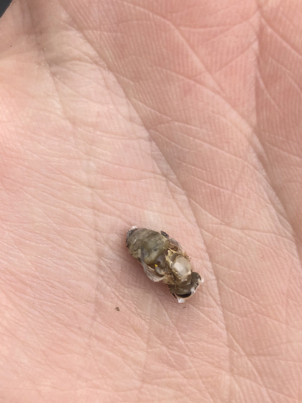 8696573D-5A6A-4AF0-BB72-AE924A5A700B