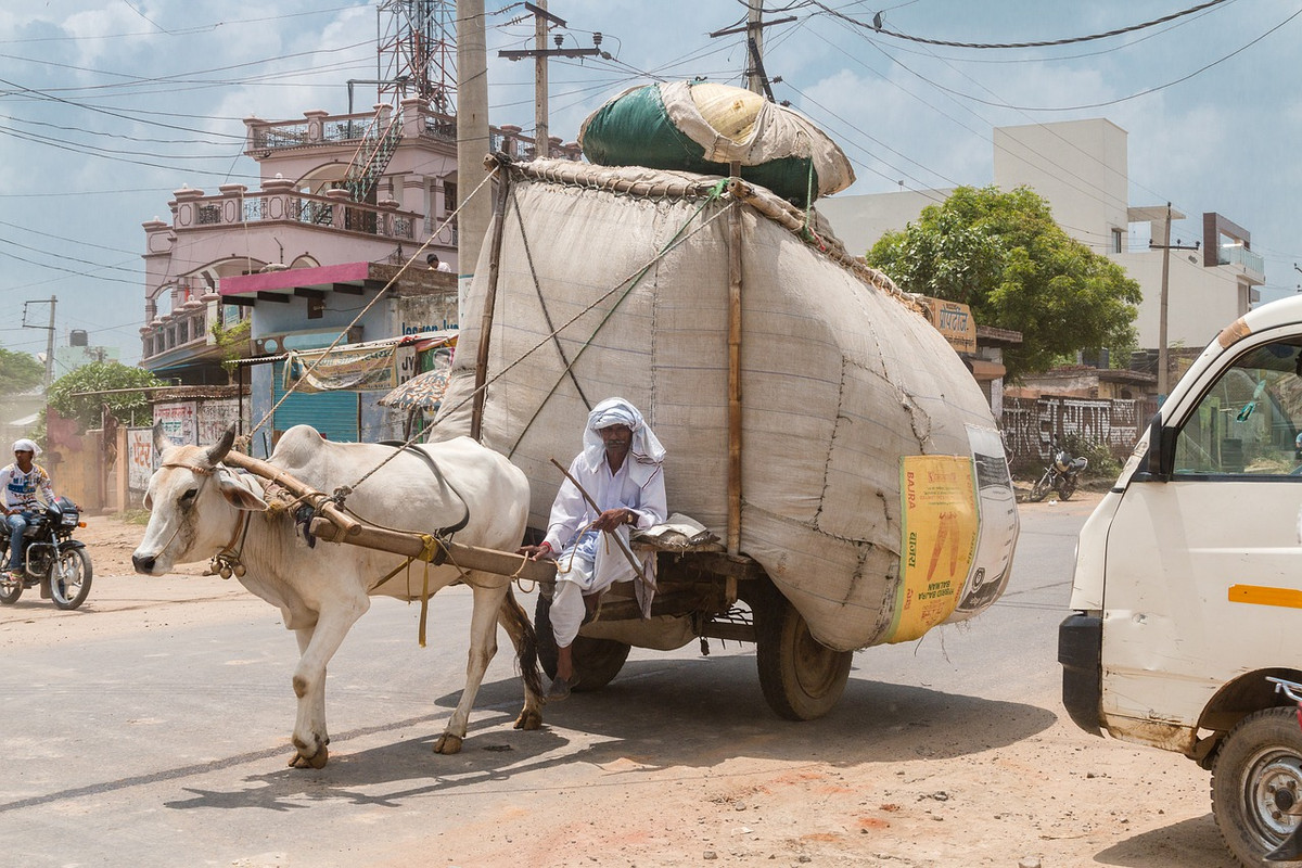 white-india-4780853-1280.jpg