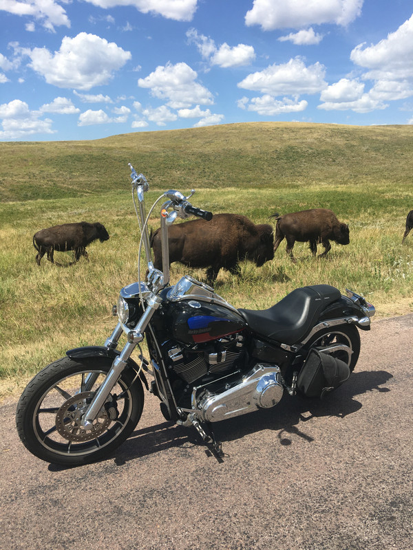 7DDF4F3F-36CE-494C-A634-0E8EA08AB67F