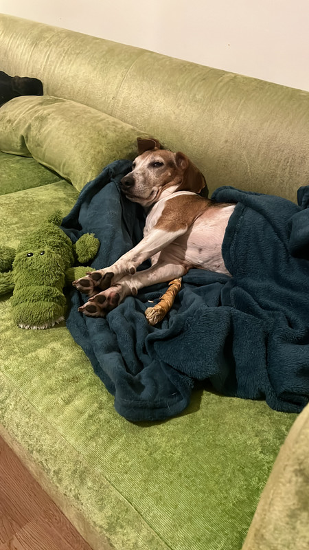 F4615829-A1DD-440B-8CD4-31330515F0B9