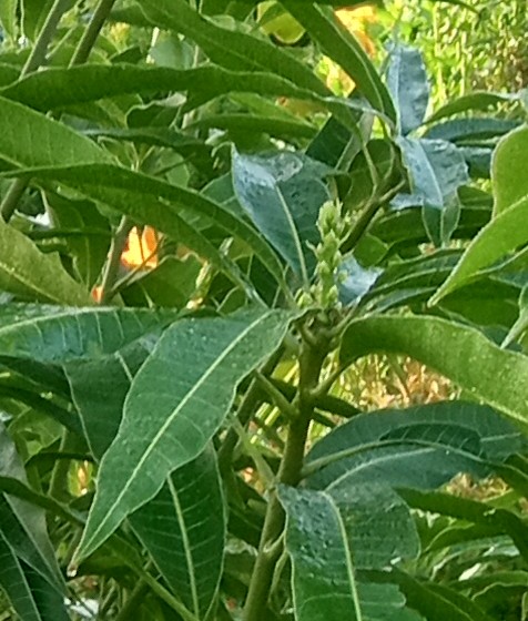IMG_20240317_081624762_HDR~2