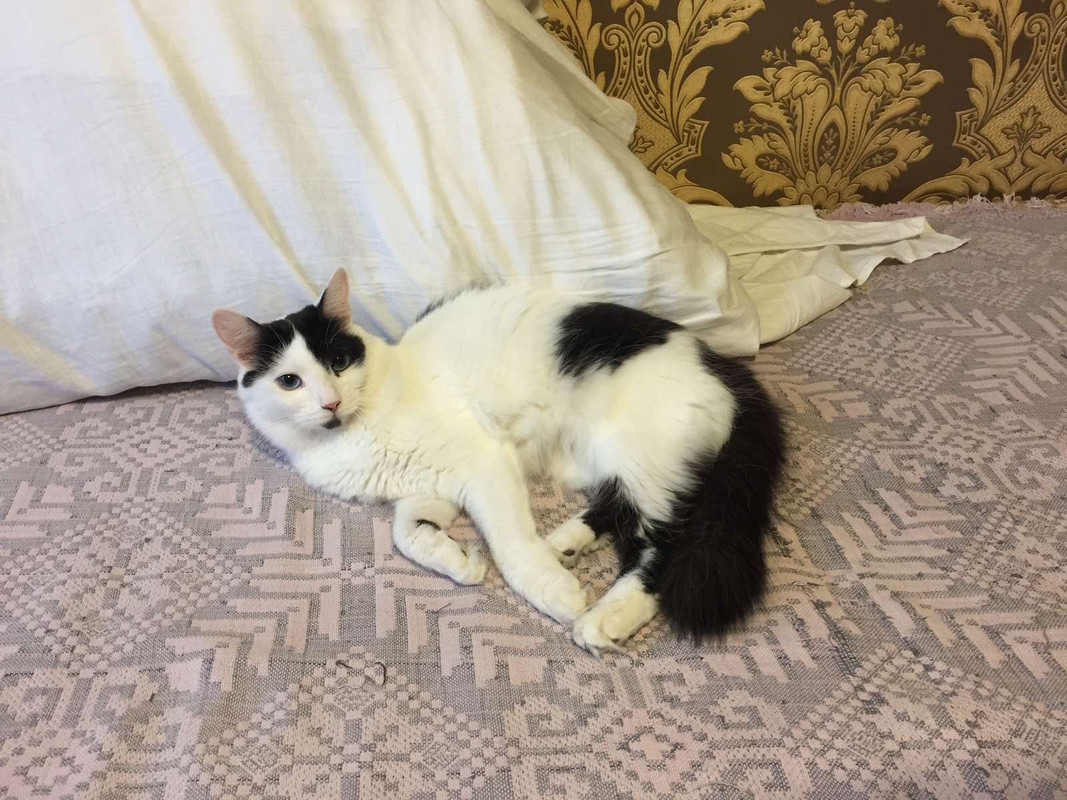 IMG-ec7c8ccd2d08e45542209d57a699387c-V