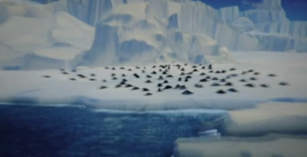 Il.Viaggio.Di.Norm.2016.iTALiAN.MD.TELESYNC.XviD