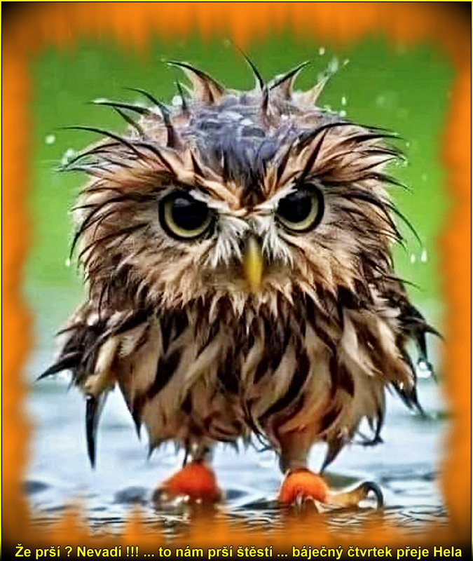 čtvrtekprší13.3.2025úúúpr