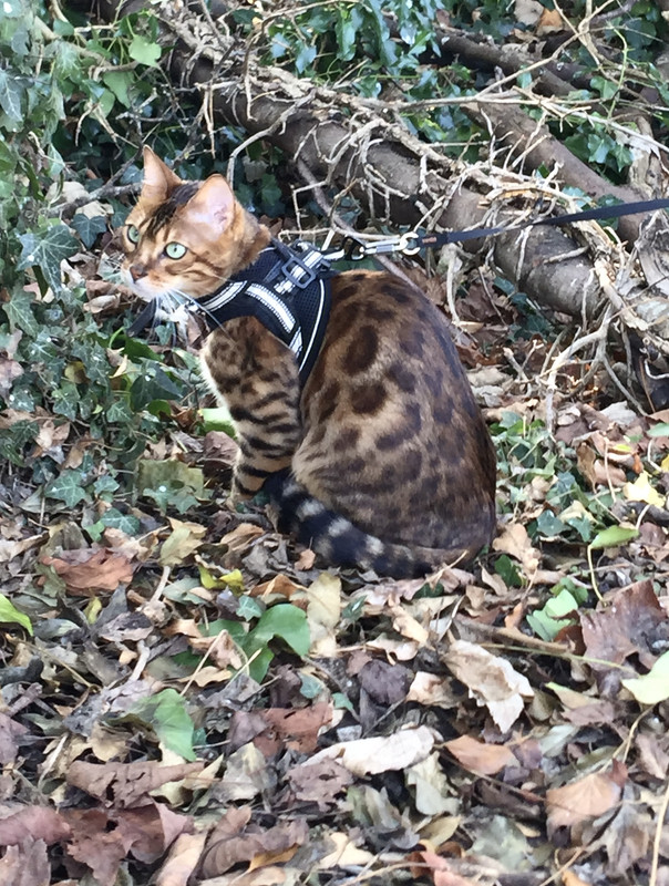 AD0DE6FD-FCB0-42F7-B37A-A8B6DE4843BF