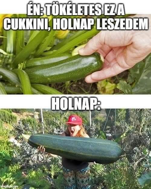 https://i.postimg.cc/d0QjL6xh/en-tokeletes-ez.jpg
