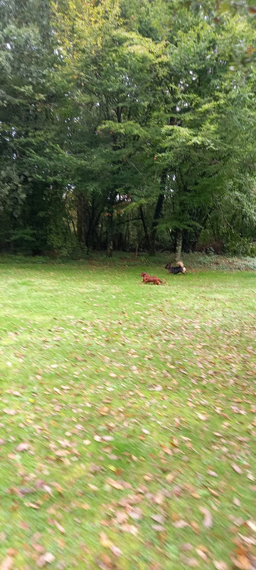 [Image: Whats-App-Image-2024-10-07-17-38-33-0bcfcc0a.jpg]