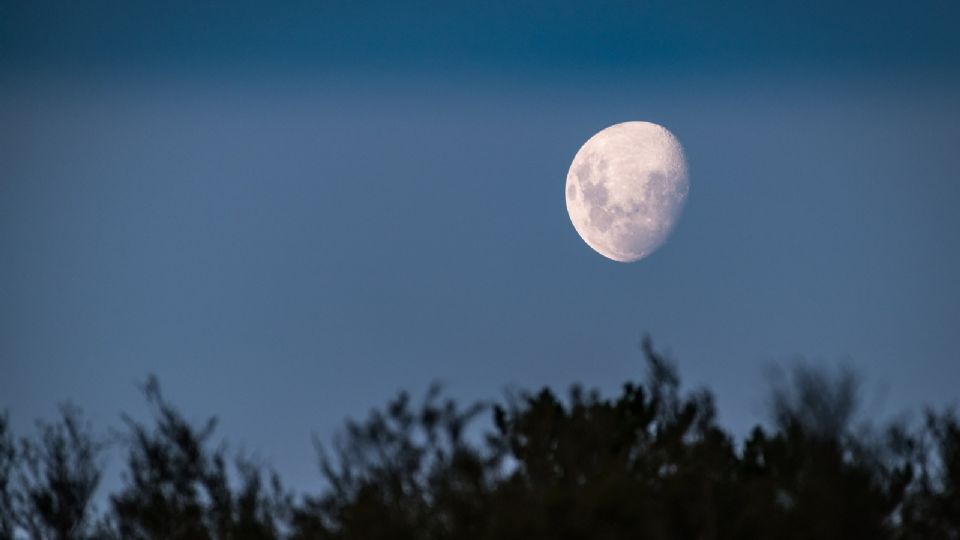 De no creerse: La NASA pretende que el humano viva en la Luna; este sería su plan