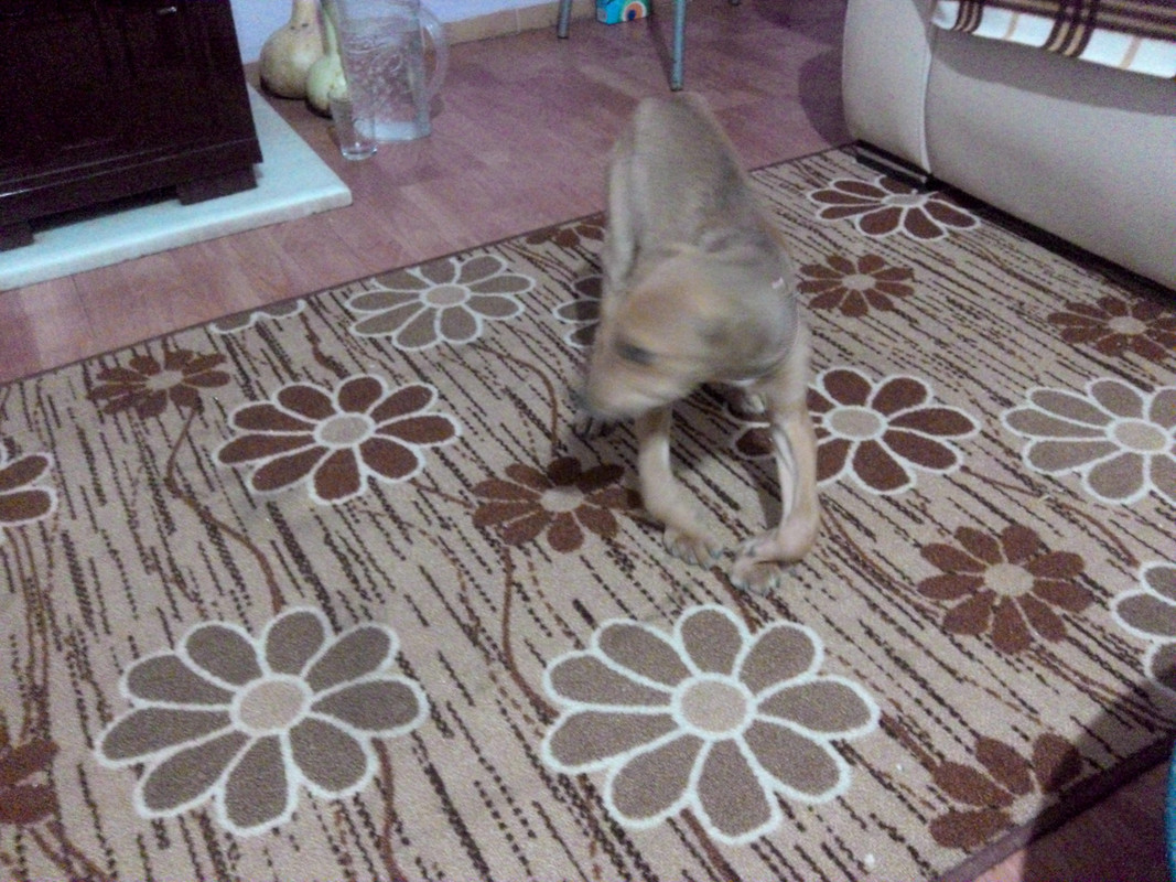 Snapshot_20141128 (6)