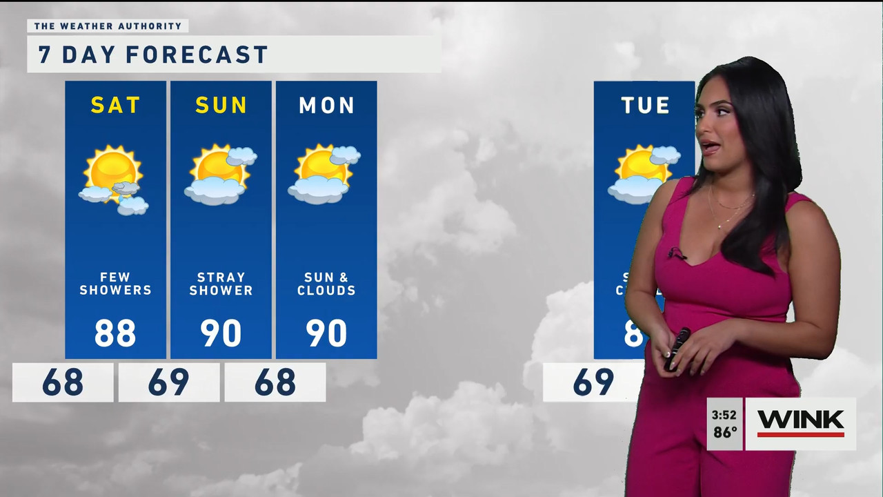 03.24 - 19.00.00 - WINK News at 3pm  ᴺᵉʷ..ts_snapshot_00.53.25.074