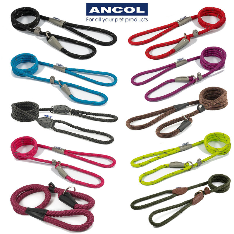 Ancol SLIP Lead Rope Dog Training Strong Nylon Show Halter Control Obedience eBay