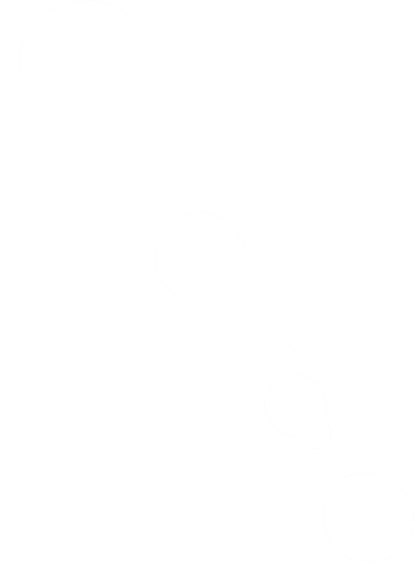1 (91)