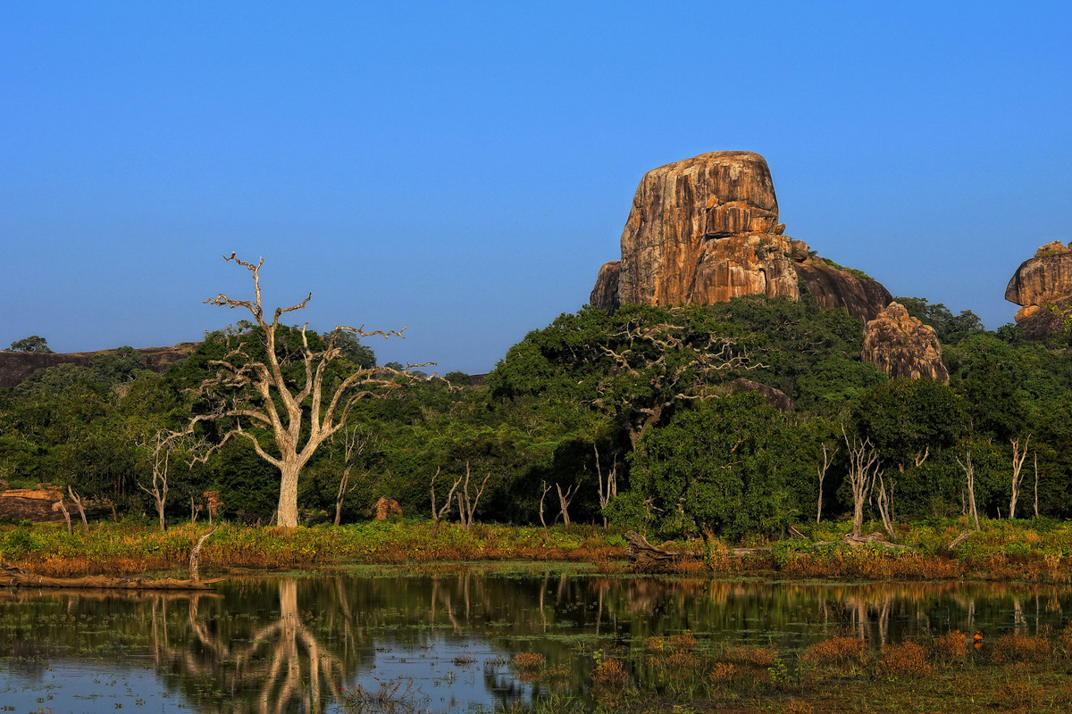 Galle