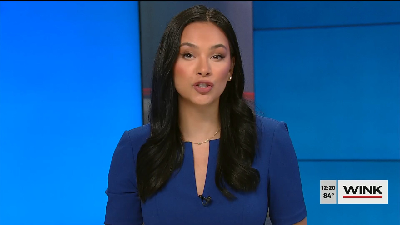 04.24 - 17.00.00 - The WINK Noon News  ᴺᵉʷ. Midday news update..ts_snapshot_26.30.993
