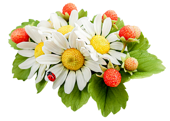 Mariposa_Kit_43