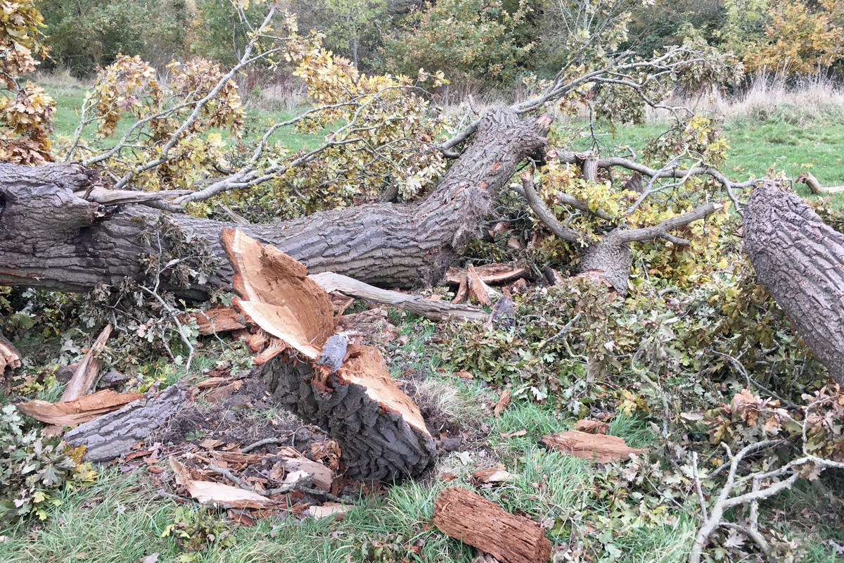 46C6BB75-BEE5-4C2F-8888-EE3FE30B1B97