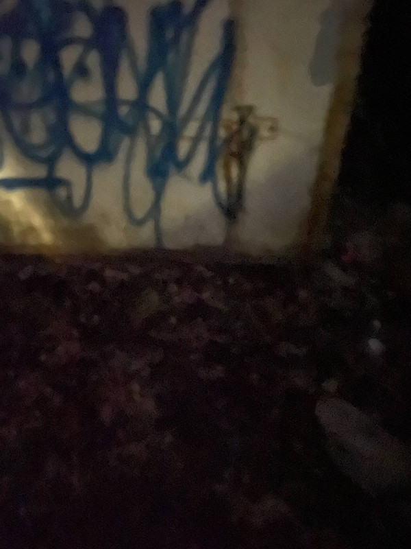 photo 2026 03 31 01 29 21