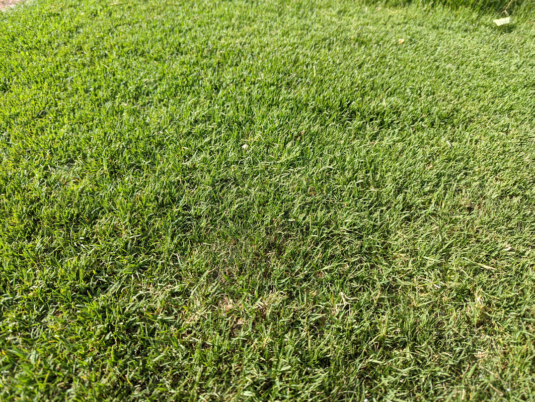 PXL_20220519_135831912