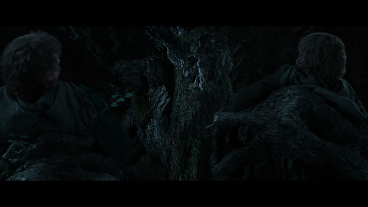 The Lord of the Rings- The Two Towers (EXT.) PT. 1.mkv_snapshot_00.40.01_[2020.12.08_17.57.46]