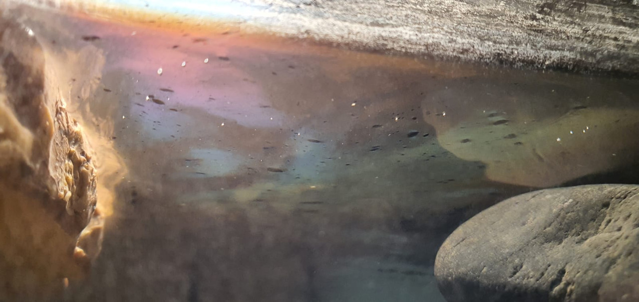 babd43a7-3f51-4144-b871-992d480a53c8