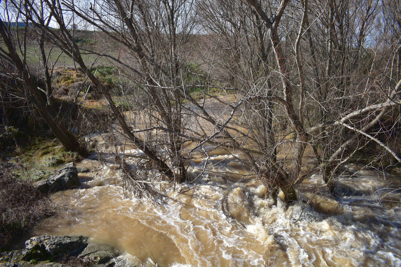 Πέτρινο γεφύρι Δαφνούλας (8)