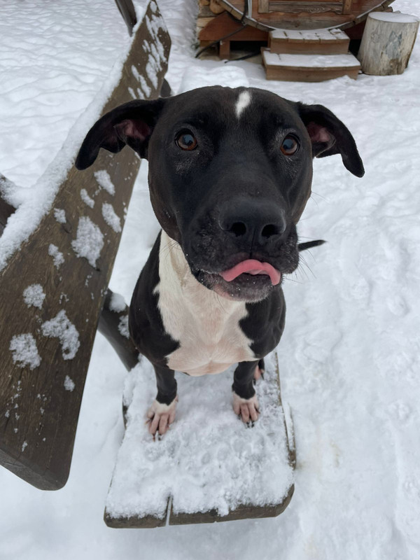 2FEF59F8-1C4C-4F49-9ACB-F03E7B654385