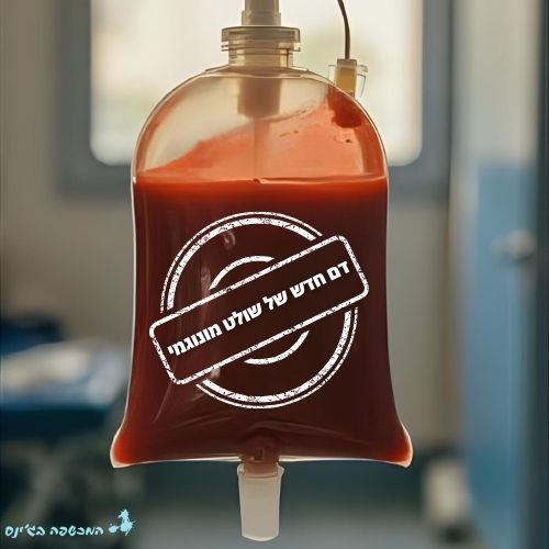 עותק של עותק של עותק של ללא שם לוגו