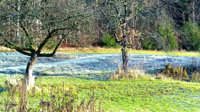 WP_20131112_09_09_20_Pro (3072x1728) (2500x1406)