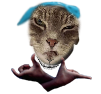 Cupace20220717084723327.png