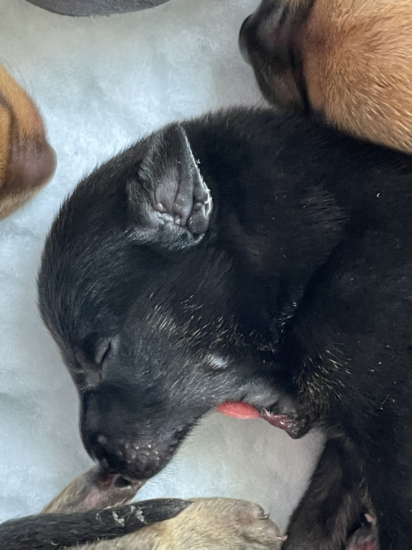 68225DDD-DD6F-48DD-805E-9768962FB7BC