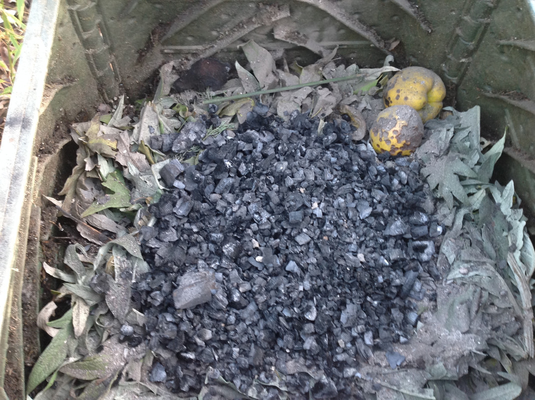 Zuschläge Feuerstelle ausräumen 26.12 (4)