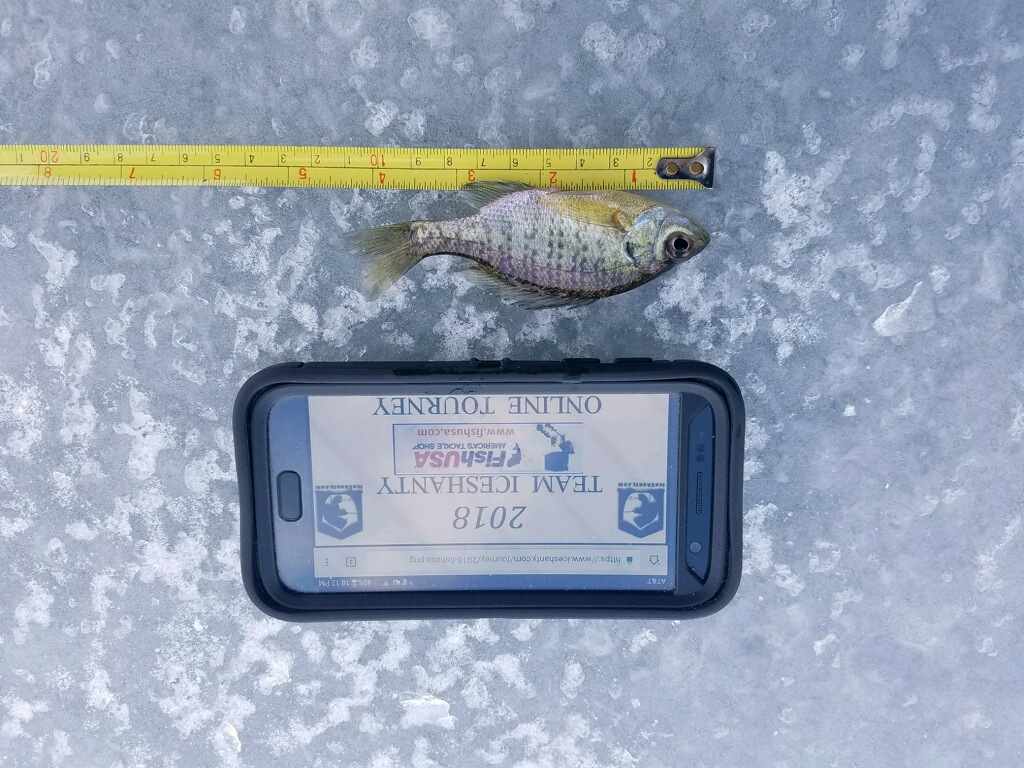 Gill