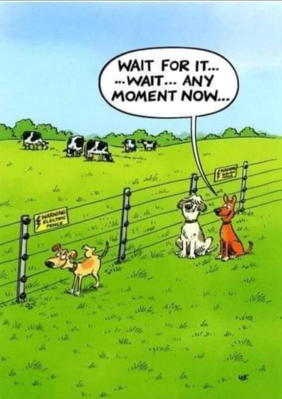 331735611_153796350827340_3350895201009840989_n