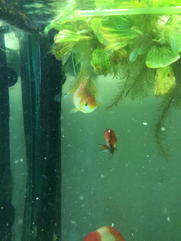 AC3A3D87-DC33-440B-BD2C-E431A915D47F