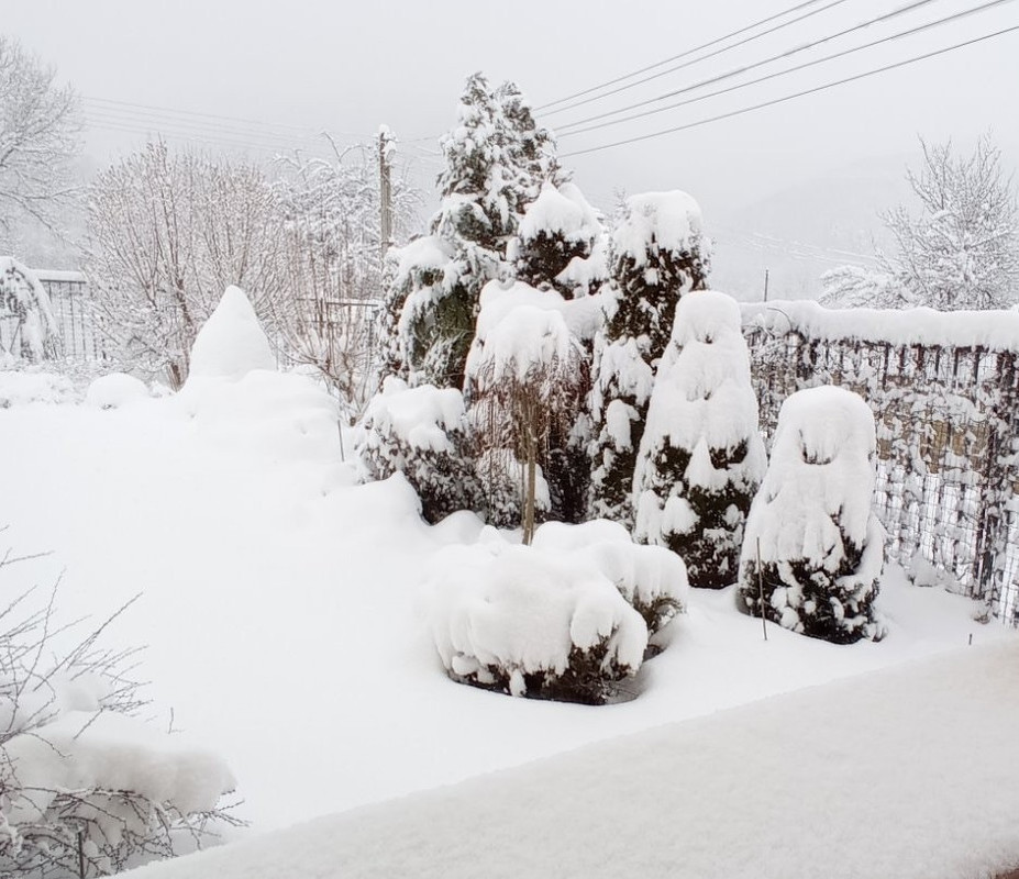 snow 2701