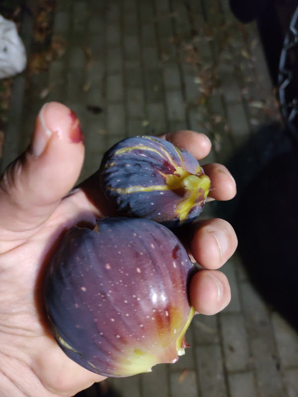 IMG_20230810_230259713