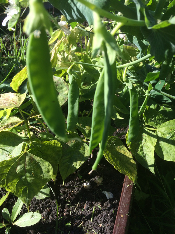 229DE855-97CD-4622-9DD3-E9525E8561EC