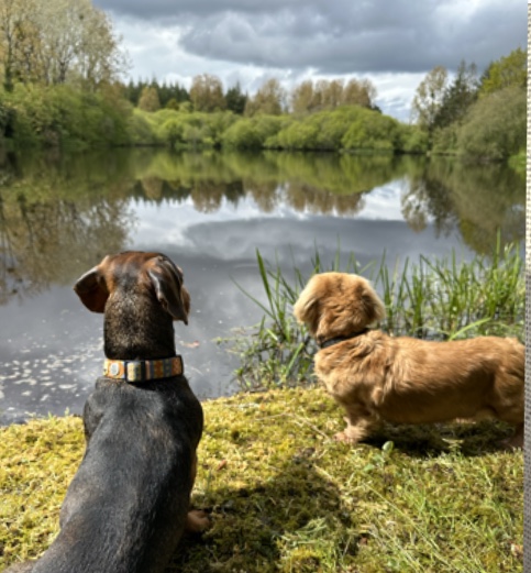 [Image: IMG-7966.jpg]