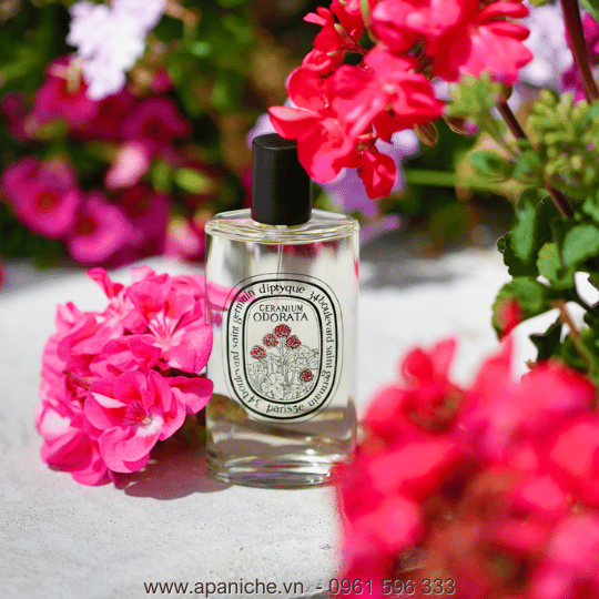 Diptyque-Geranium-Odorata.png