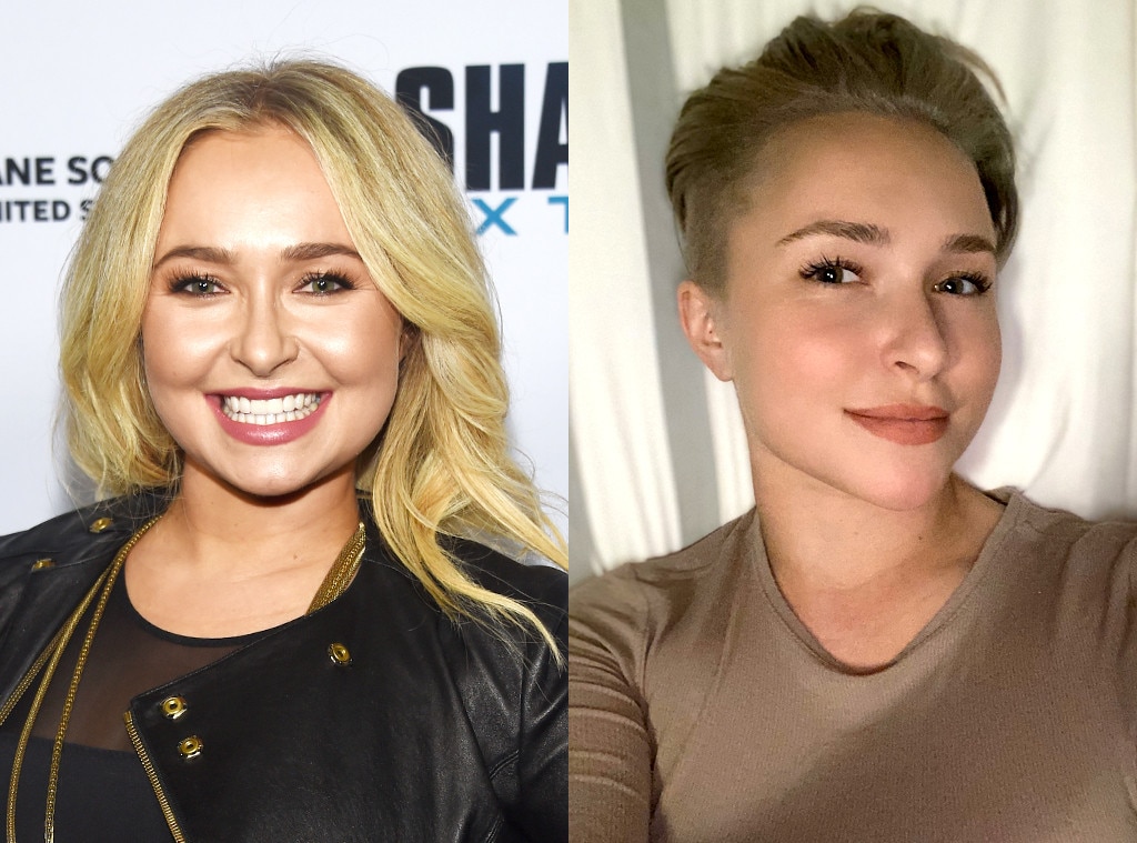 What's Hayden Panettiere Doing Now