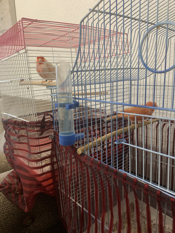 D4A7DD77-FF41-411F-A537-15D022DCE858